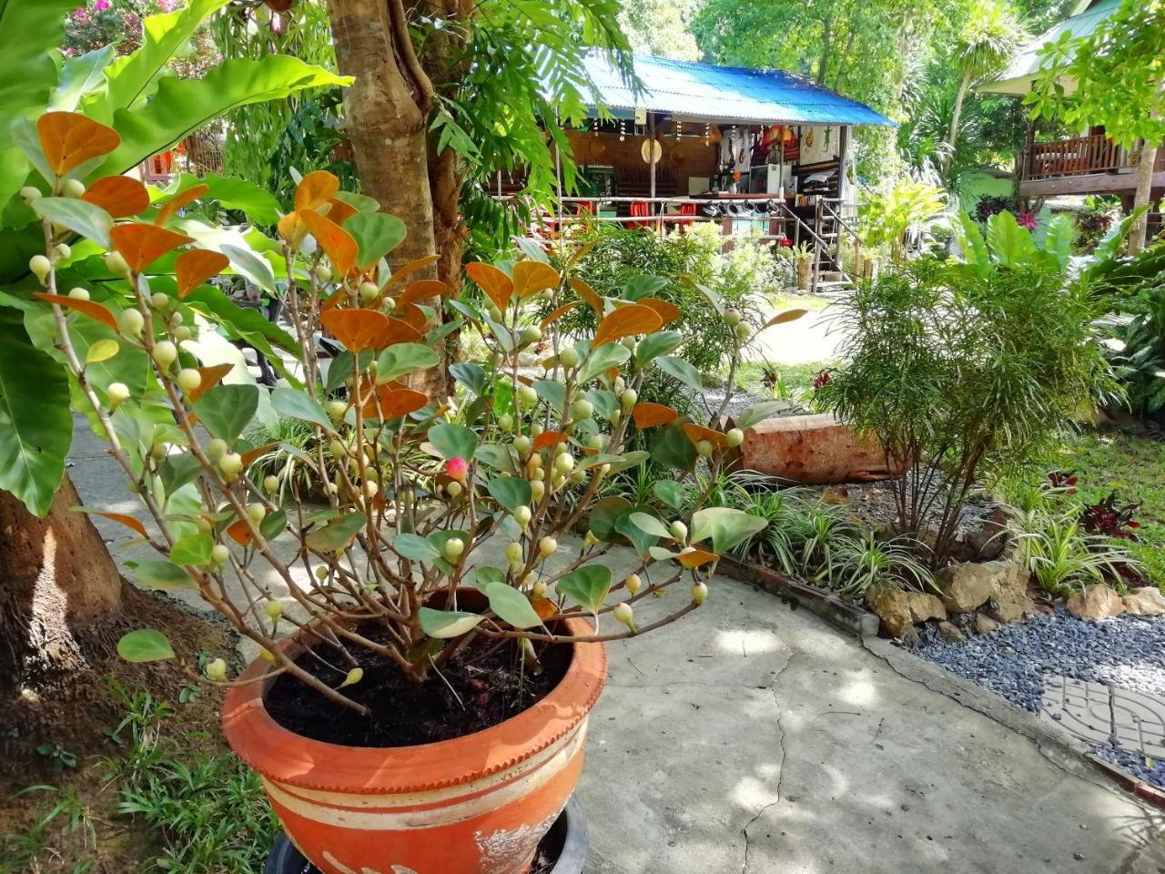 Macura Resort Koh Chang Eksteriør bilde