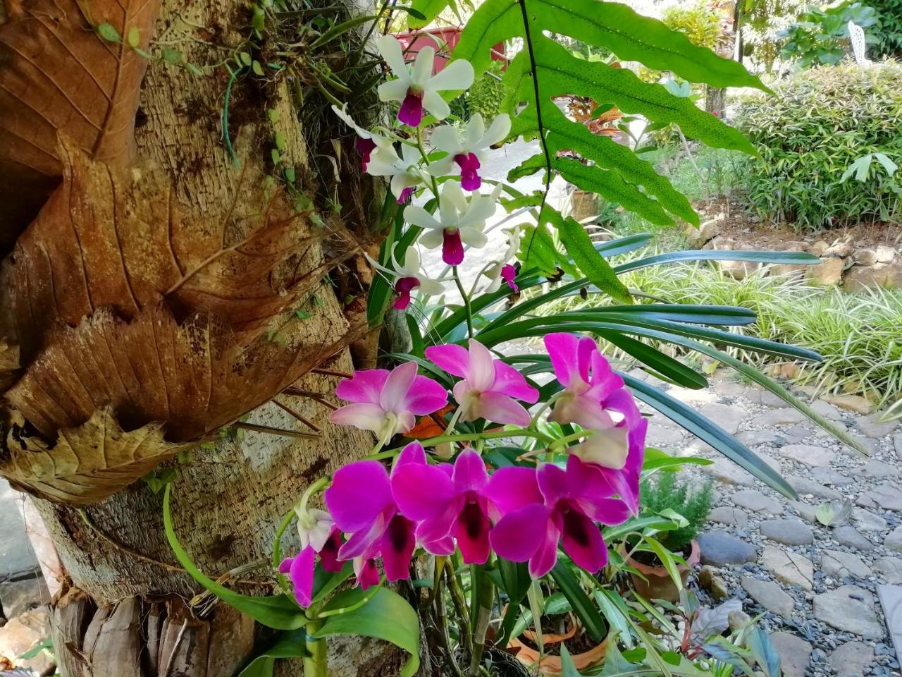 Macura Resort Koh Chang Eksteriør bilde